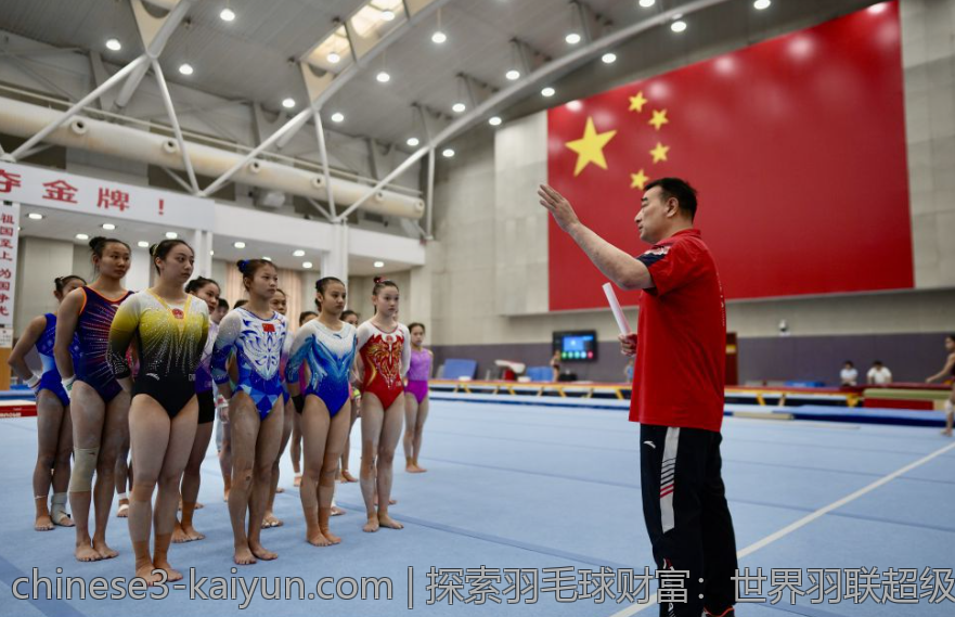 探索羽毛球财富：世界羽联超级系列赛奖励金动态